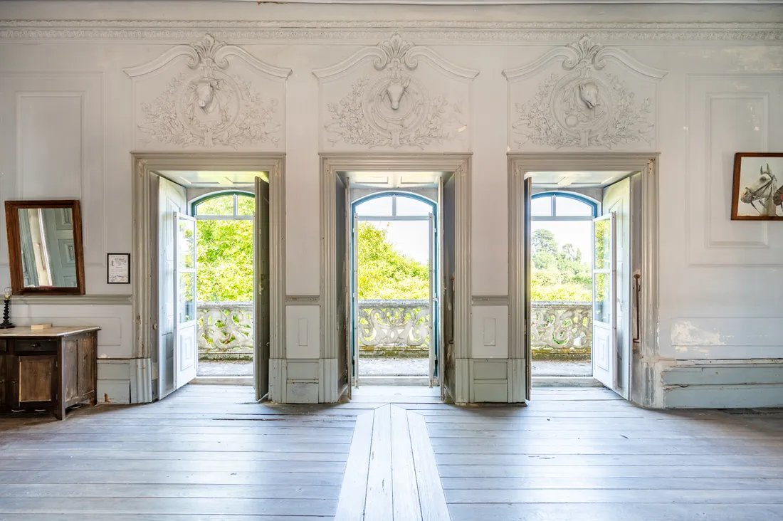 Estate in Anadia, Aveiro District, Portugal