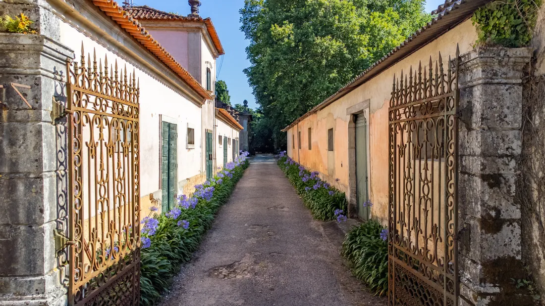 Estate in Anadia, Aveiro District, Portugal