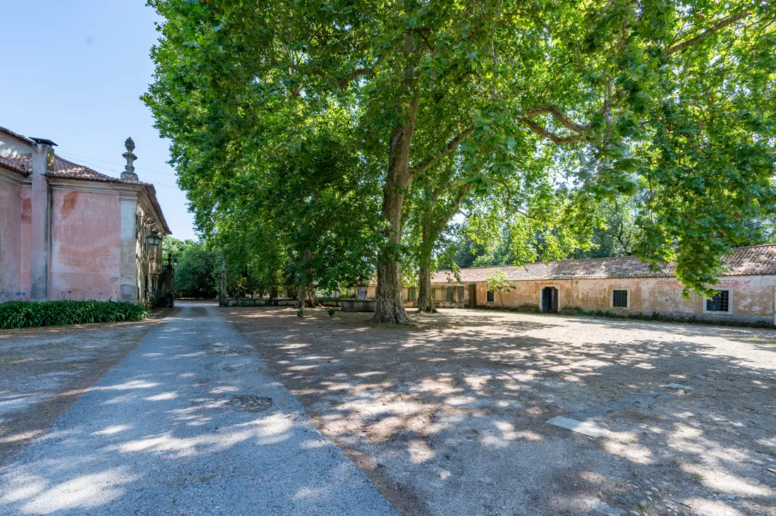 Estate in Anadia, Aveiro District, Portugal