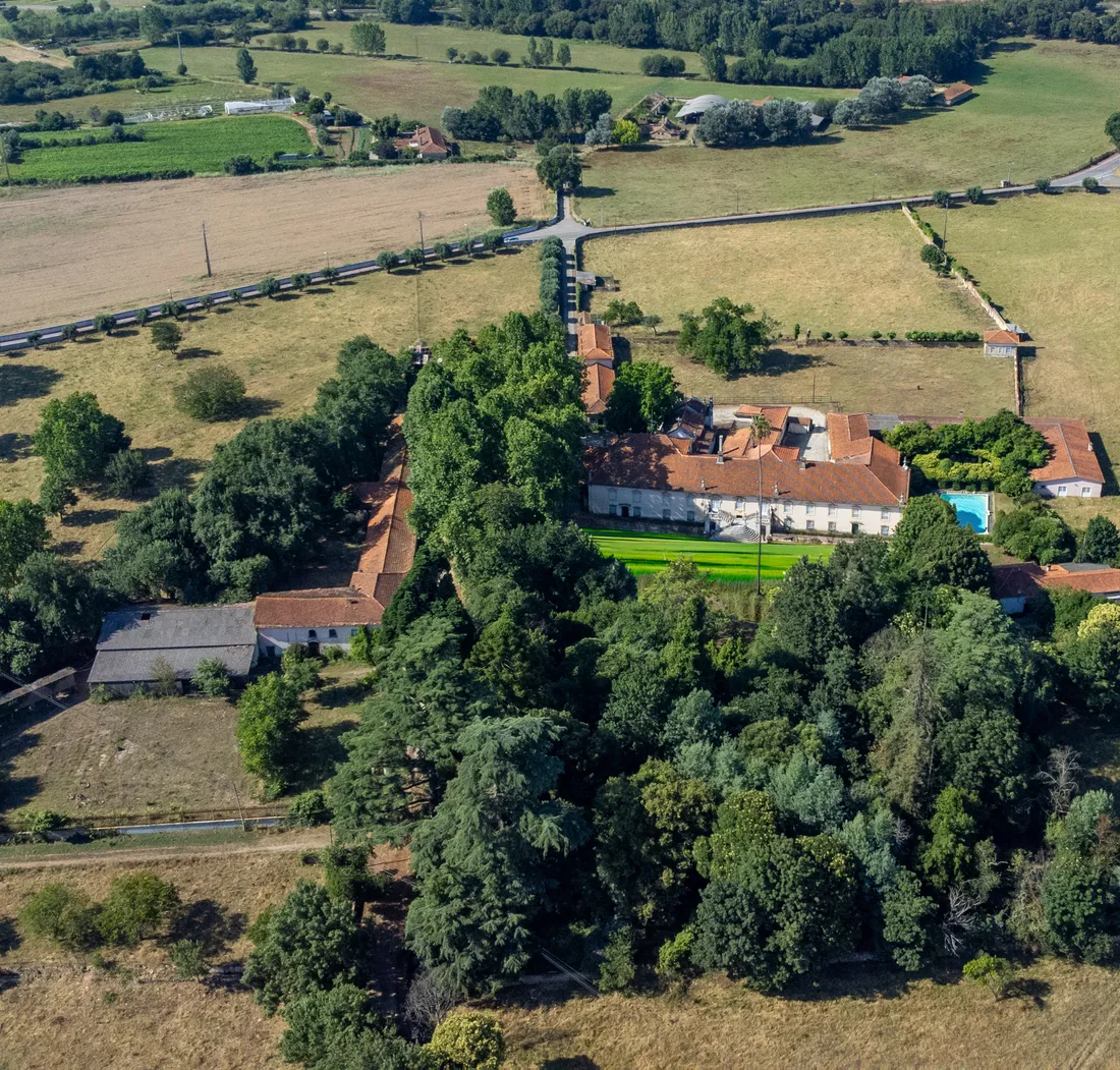 Estate in Anadia, Aveiro District, Portugal