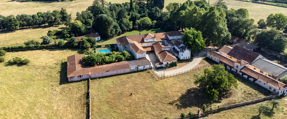 Estate in Anadia, Aveiro District, Portugal