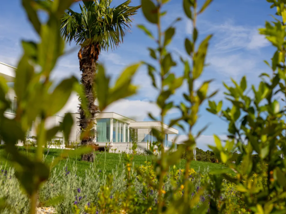 Villa in Ugljan, Zadar County, Croatia