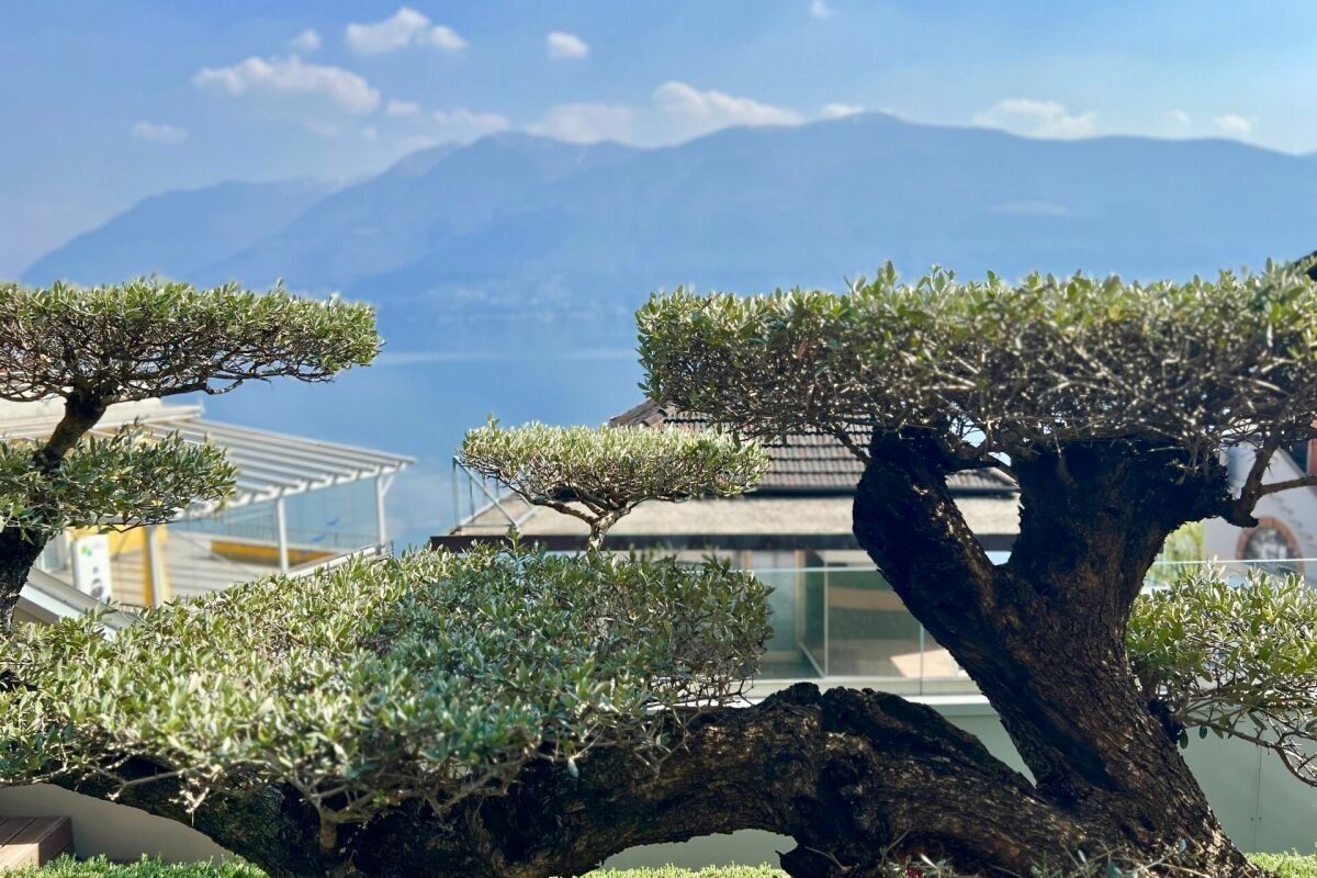 Apartment in Ronco sopra Ascona, Ticino, Switzerland