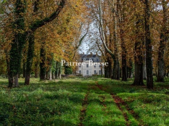 Castle in Fontainebleau, Île-de-France, France