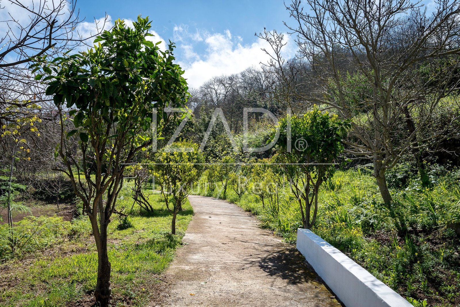 Country House in Santa Cruz de Tenerife, Canary Islands, Spain
