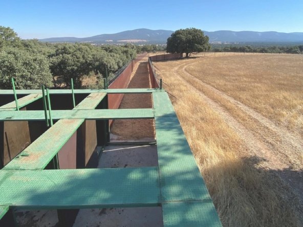 Estate in Ciudad Real, Castile-La Mancha, Spain