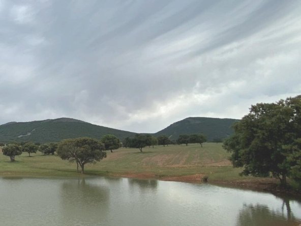 Estate in Ciudad Real, Castile-La Mancha, Spain