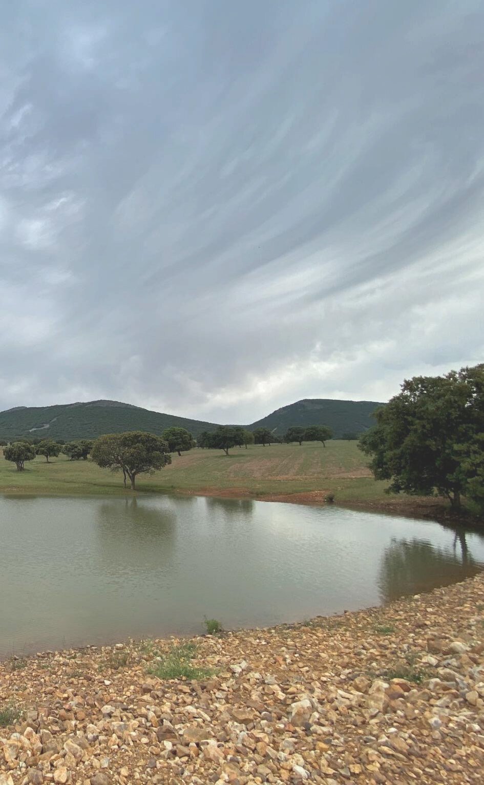 Estate in Ciudad Real, Castile-La Mancha, Spain