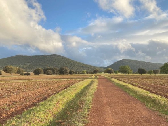 Estate in Ciudad Real, Castile-La Mancha, Spain