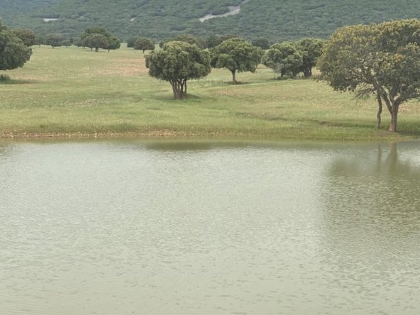 Estate in Ciudad Real, Castile-La Mancha, Spain
