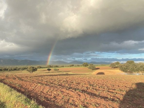 Estate in Ciudad Real, Castile-La Mancha, Spain