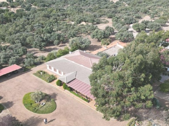 Estate in Ciudad Real, Castile-La Mancha, Spain
