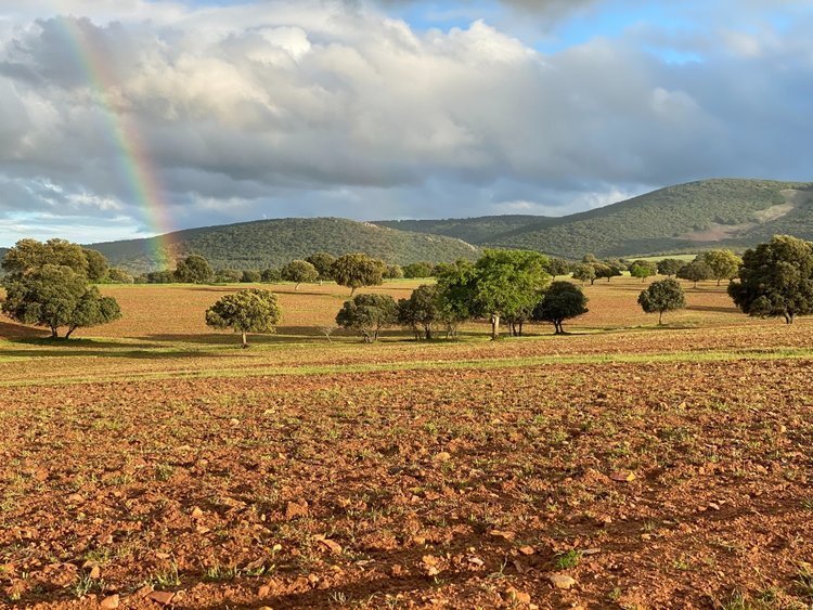 Estate in Ciudad Real, Spain
