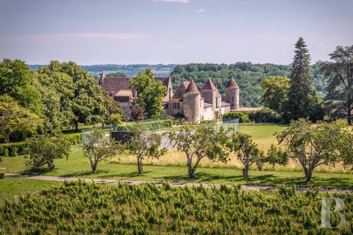 Estate in Saint-Sulpice-de-Faleyrens, Nouvelle-Aquitaine, France
