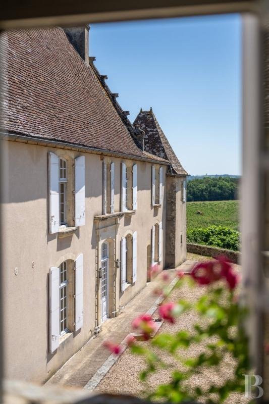 Estate in Saint-Sulpice-de-Faleyrens, Nouvelle-Aquitaine, France