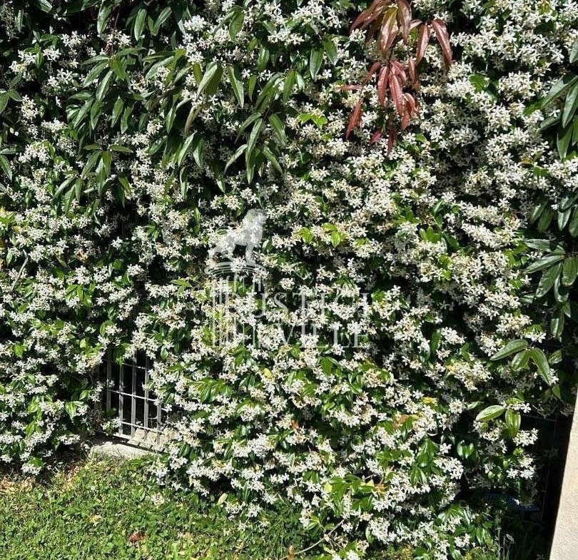 810