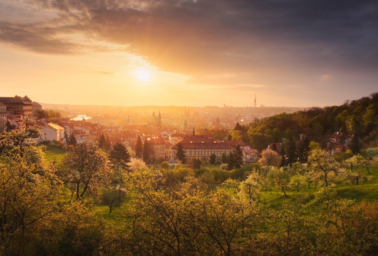 House in Prague, Prague, Czechia