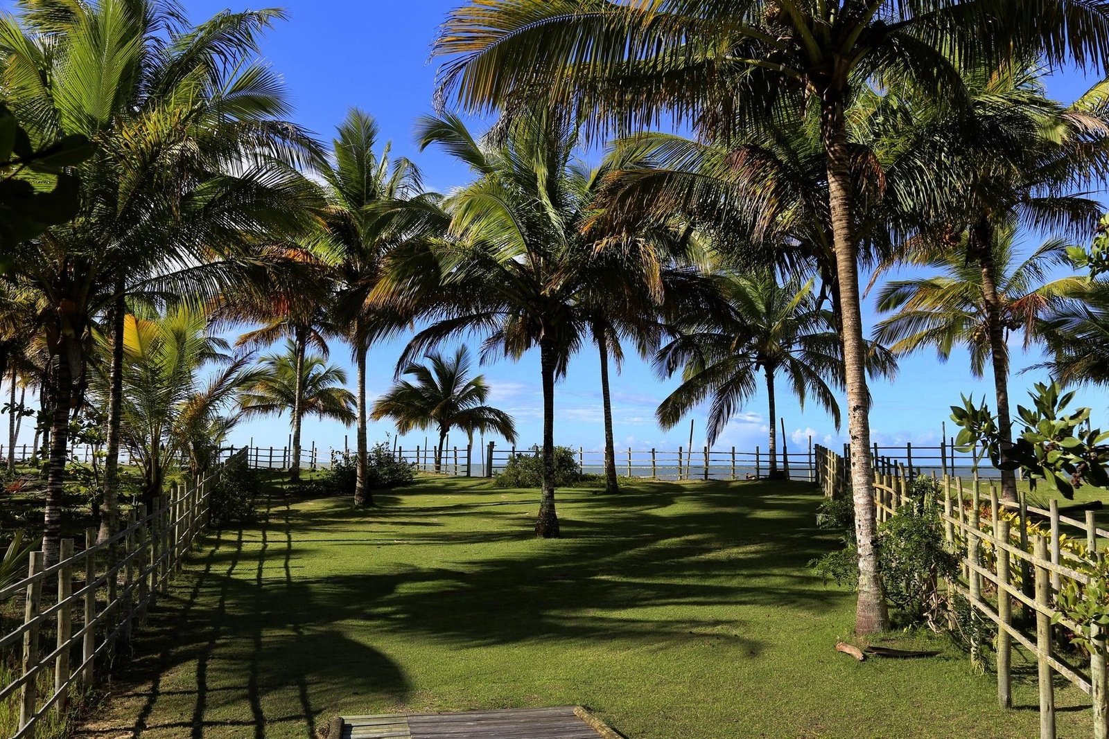 House in State of Bahia, Brazil