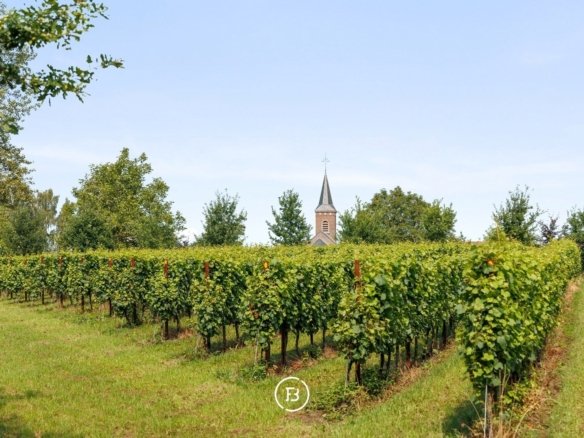 Nieuwerkerken, Flanders, Belgium