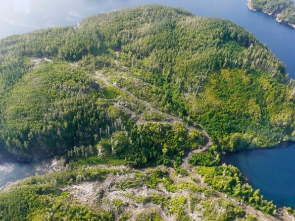 Private Island in Heard Island, British Columbia, Canada
