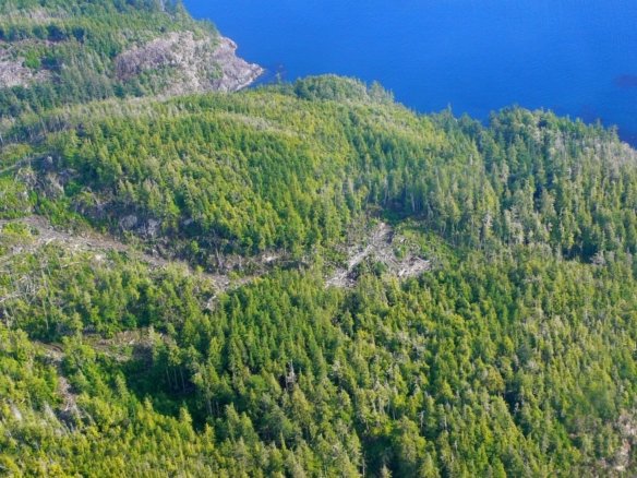 Private Island in Heard Island, British Columbia, Canada