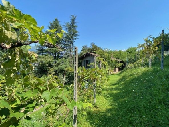 Villa in Gambarogno, Ticino, Switzerland