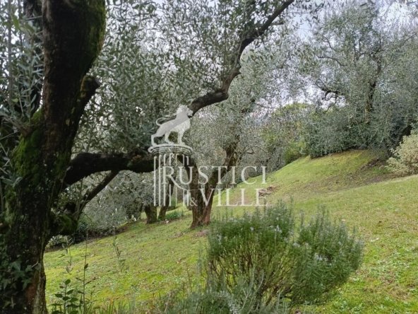 Villa in Lucca, Tuscany, Italy