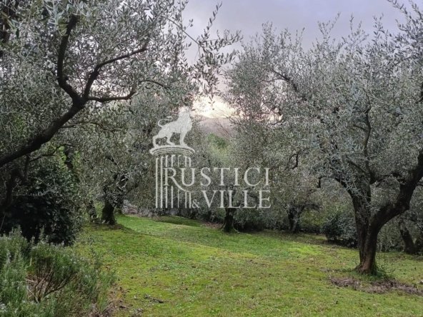 Villa in Lucca, Tuscany, Italy